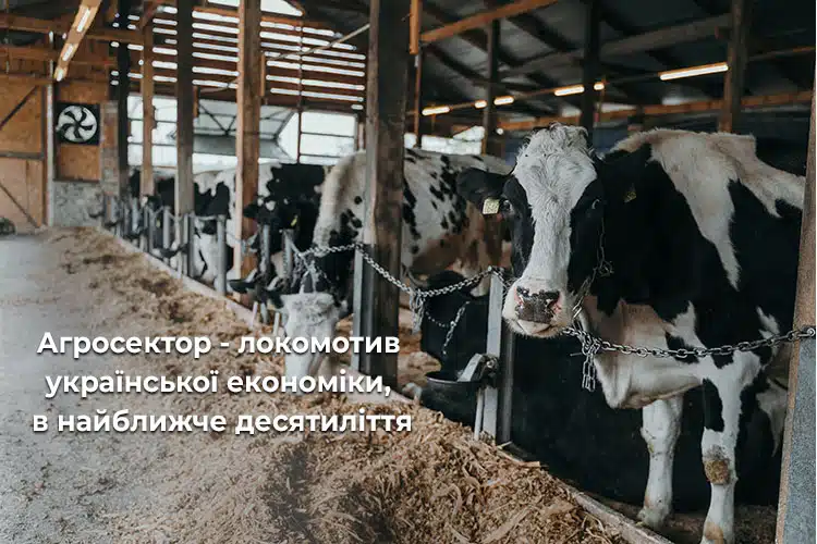 Інвестиції